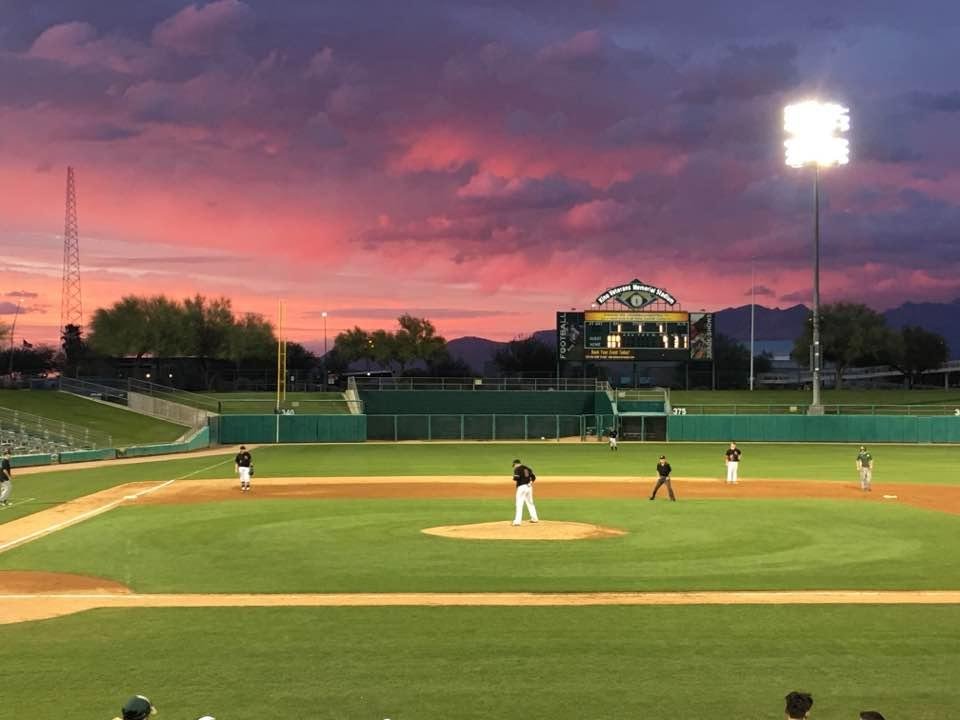 Baseball in Arizona