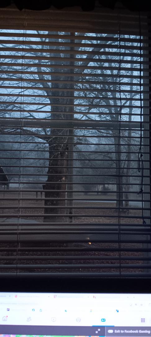 This is from my bedroom window of the front yard...Poltergeist worthy!