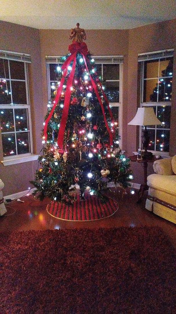 I finally finished decorating the Xmas tree!!
