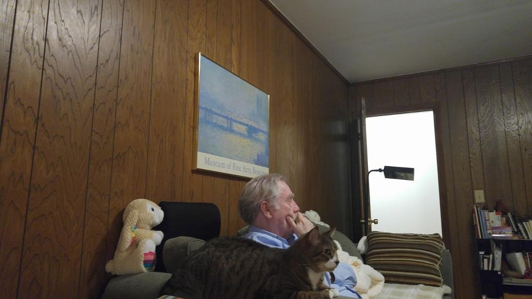 Our cat was worried about my husband because he wasn't sitting in his usual chair & came and sat beside him