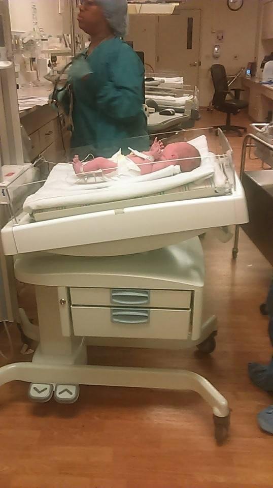 6 lbs. 5 oz. 19 inches long