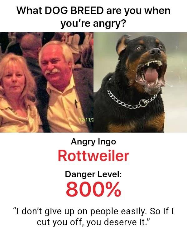 Ingo Besser's album, Timeline photos