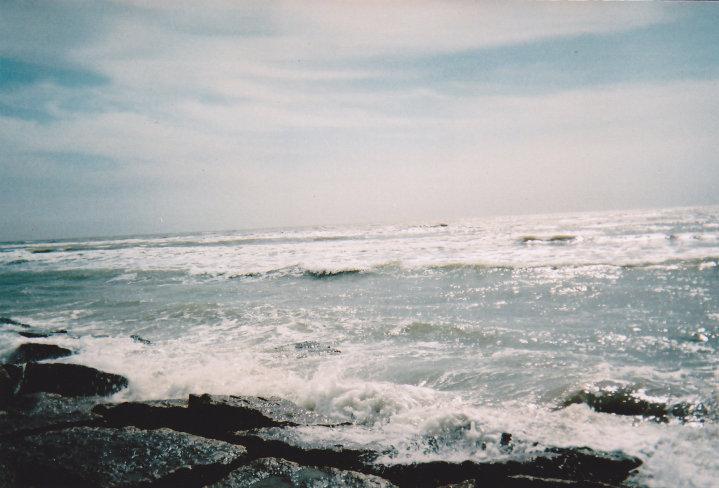 Jason Windham's album, my pics