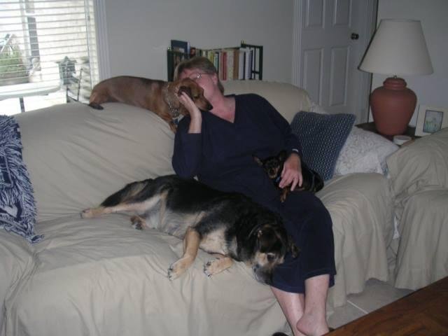 Of course all 3 of them loved to cuddle on the sofa with me too!