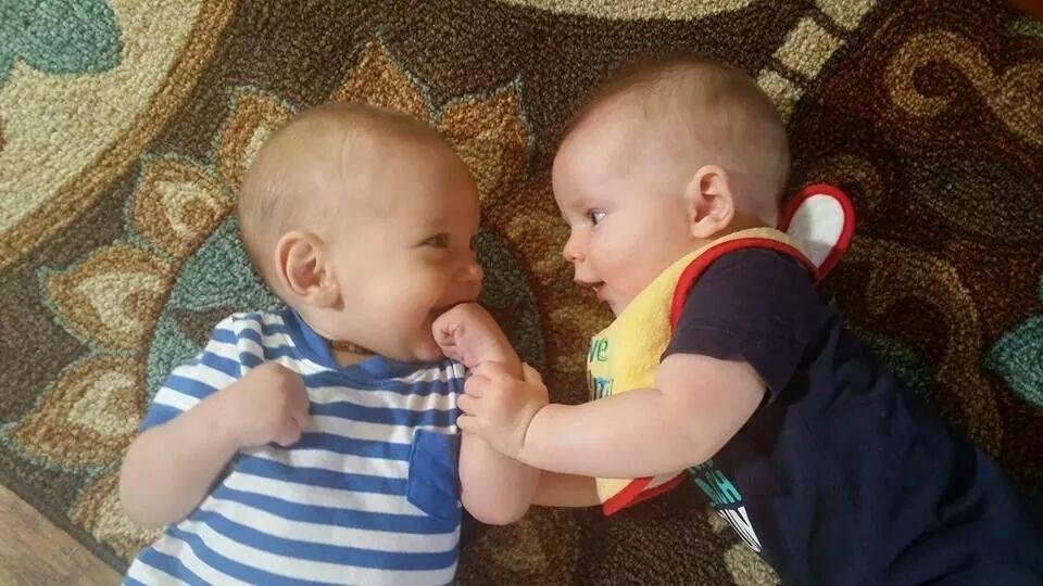 Looks like they are plotting something!