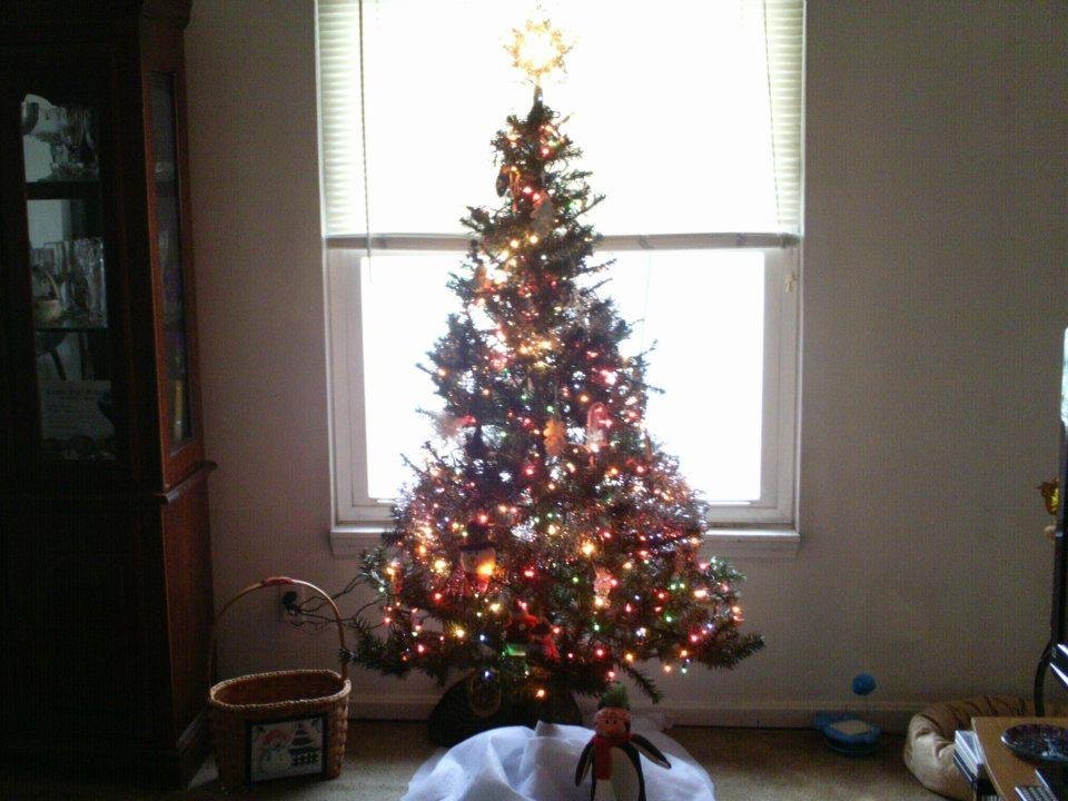Steven Bean's album, Christmas 2011