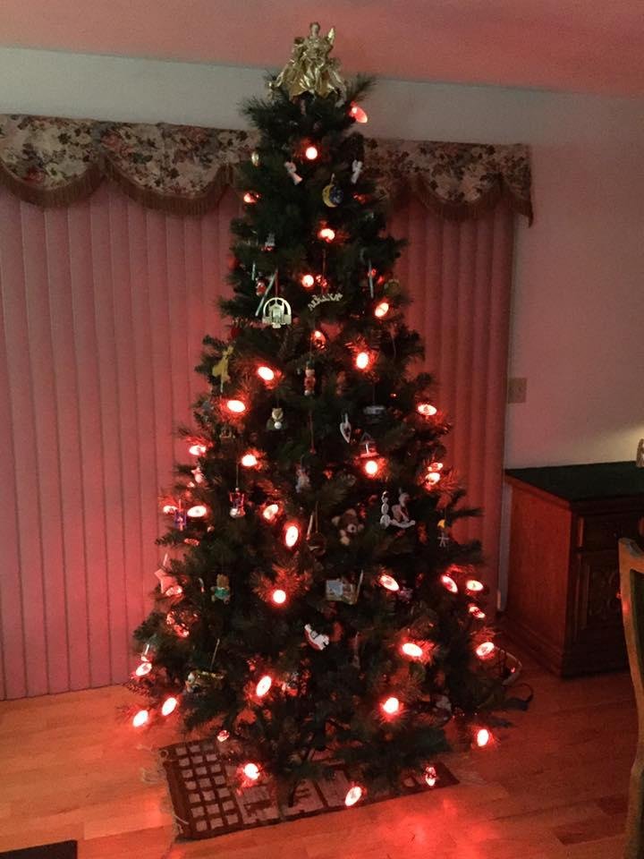 The tree is up and decorated. Now just waiting for Evangeline to arrive tomorrow in time for Christmas!🎁🎄