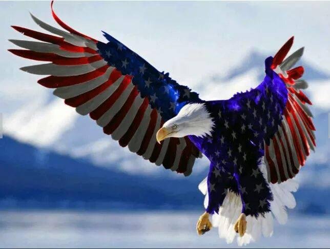 I borrowed this from a friend's post. How beautiful!
GOD BLESS AMERICA