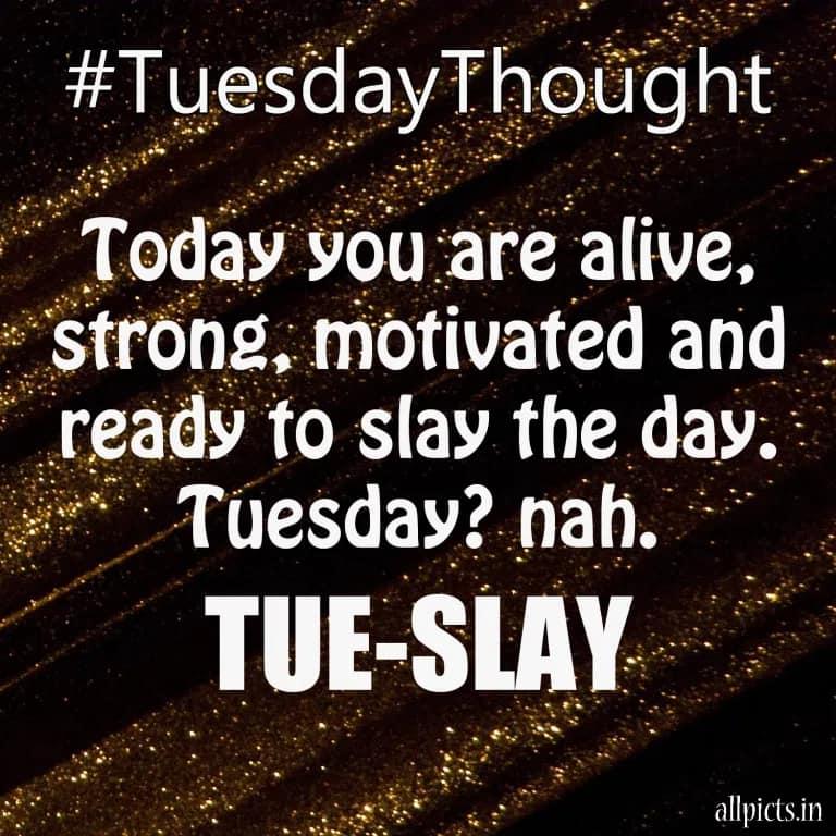 #tuesdaymotivation
#Tueslay