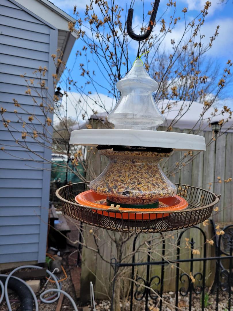 Living proof. Everything has a purpose. Had fun with my brother piecing this thing together and the birds love it.
