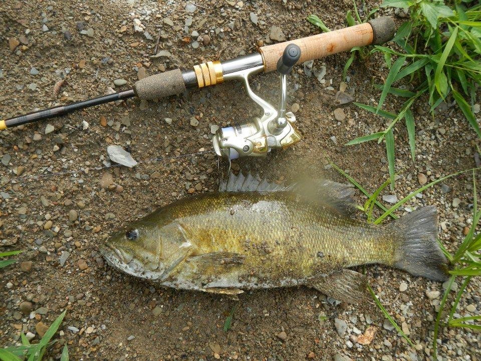 And another Ashtabula smallie from Summer 2012