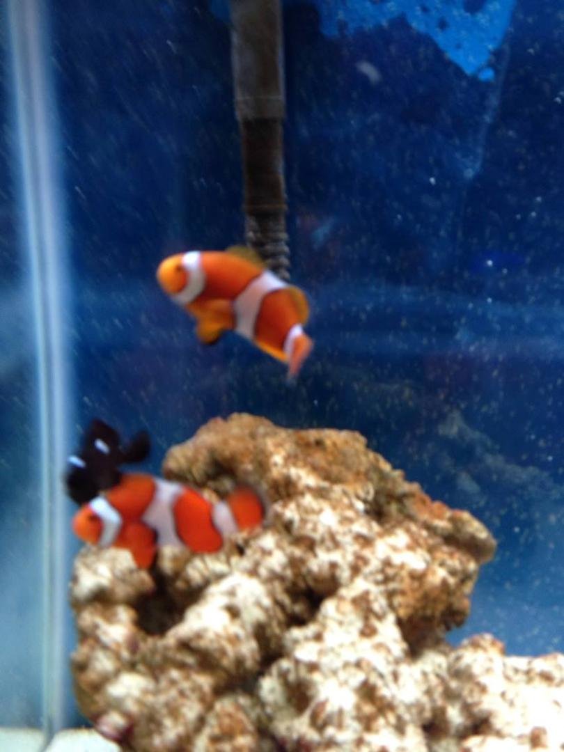 Kevin Albrecht's album, iOS Photos