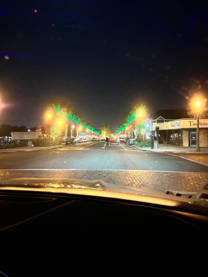 Lights at Dana Point.  Yes folks they are decorating palm trees.