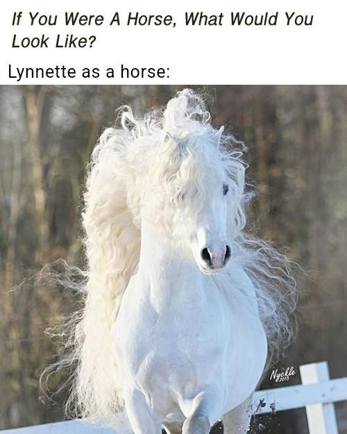 Lynnette De Becker's album, Timeline photos