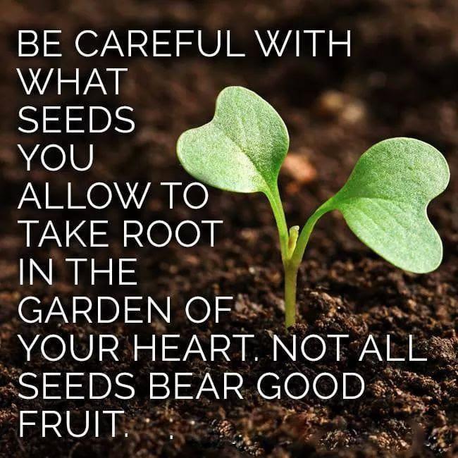 Sherry Ramsey's album, Timeline photos