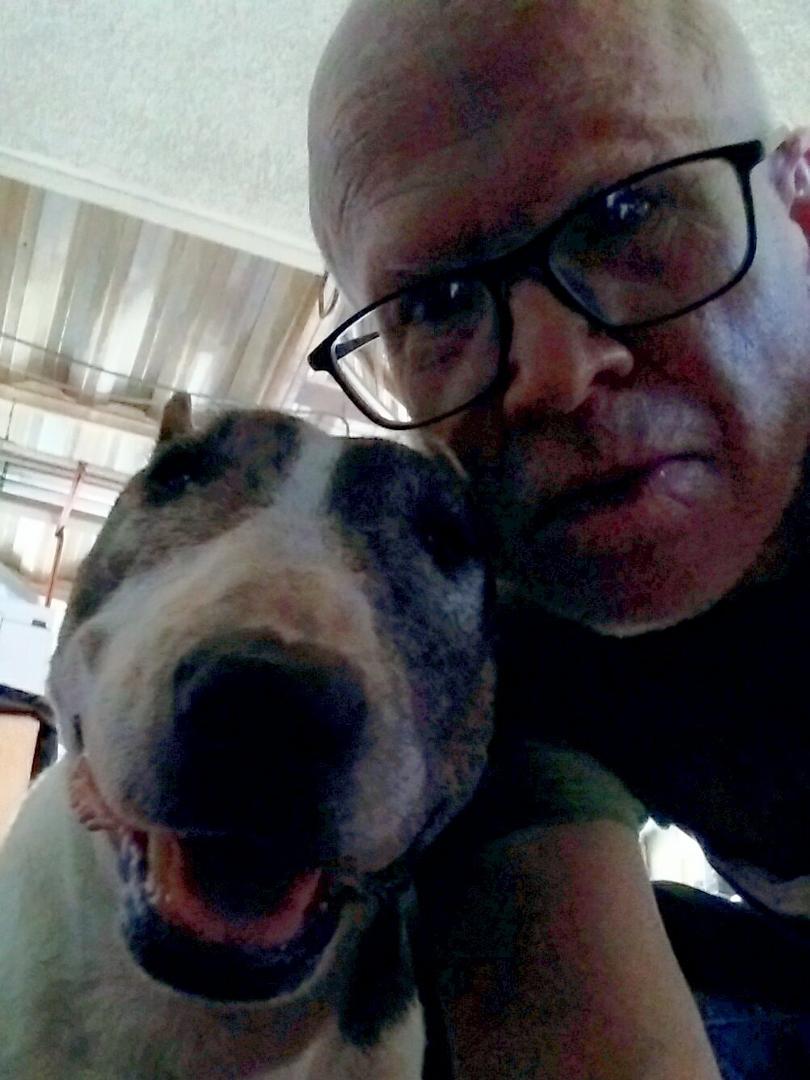 Every day is Daisy's Dog Day