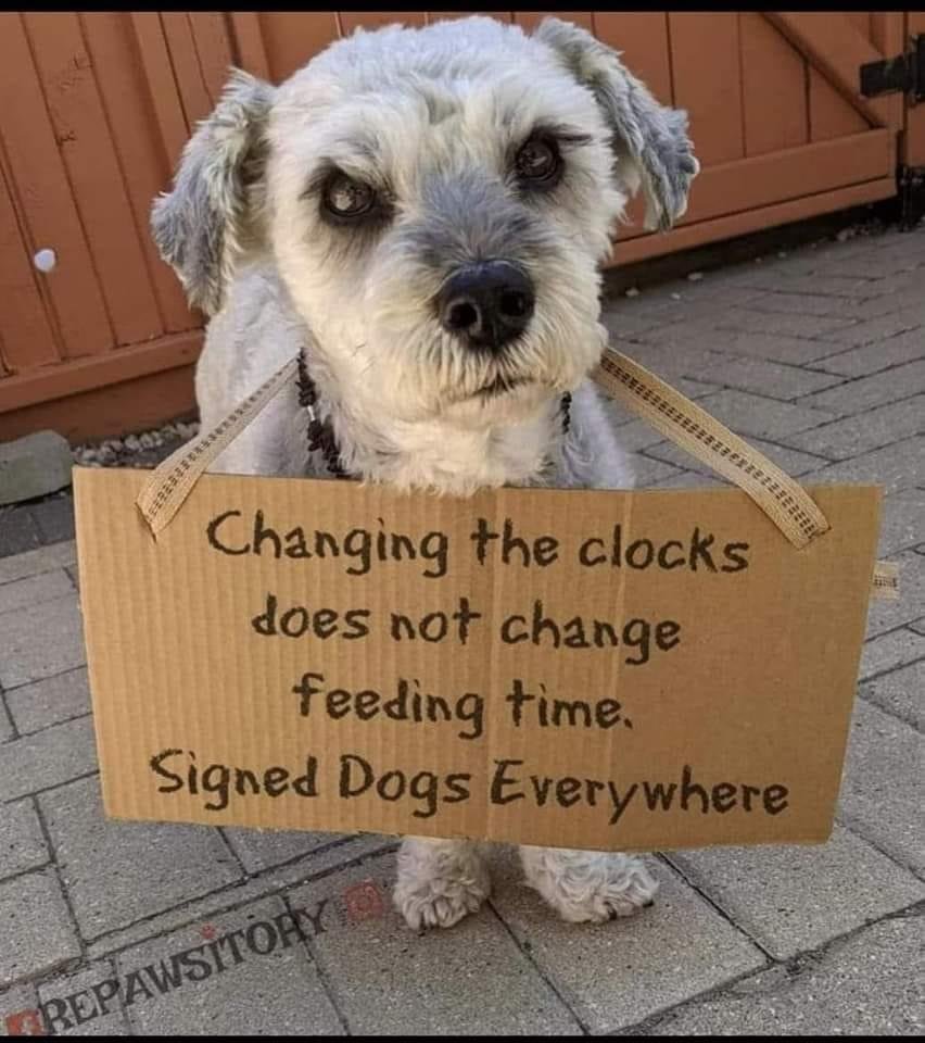 ☺️🐾