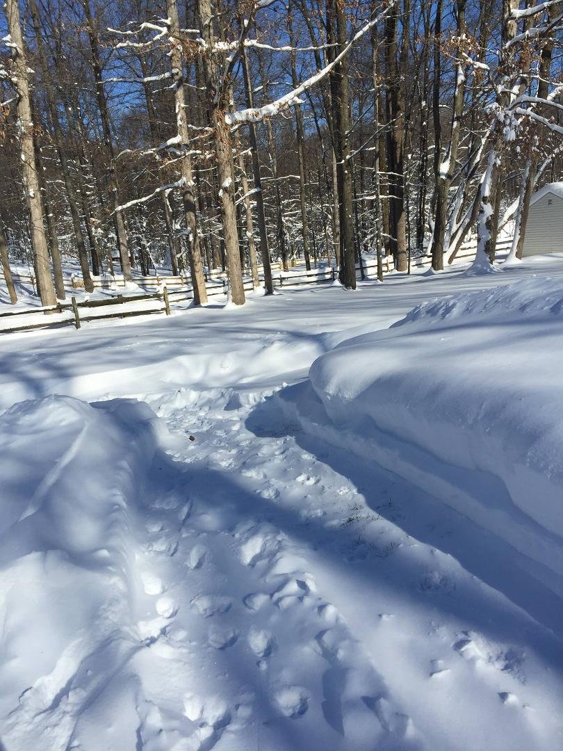 Amy Blumhardt's album, Timeline Photos