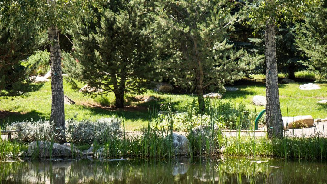 Patrick McDougle's album, Yampa River Botanic Park