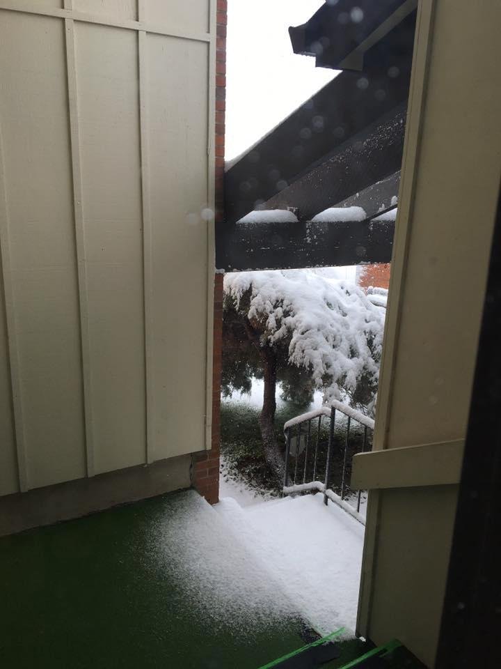 Clifford Strobel's album, Mobile Uploads