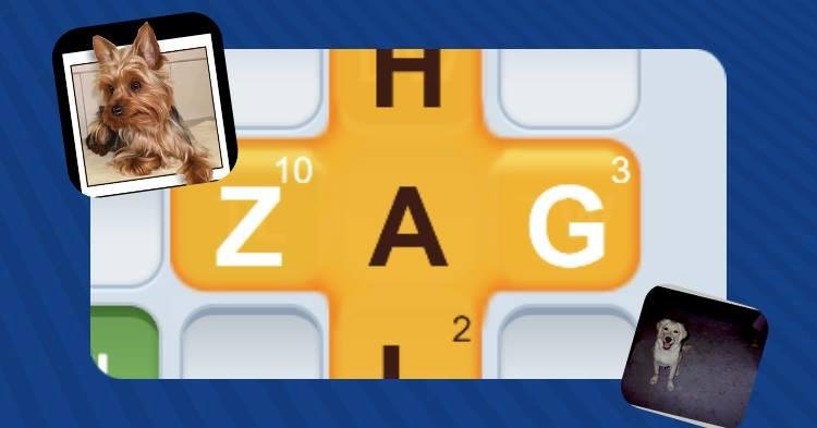 Joanne just played ZAG against Linda for 99 points!