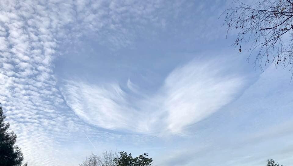 I’d say some angels were watching over us yesterday....