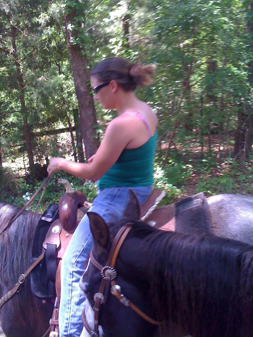 Haley Warren's album, HORSES
