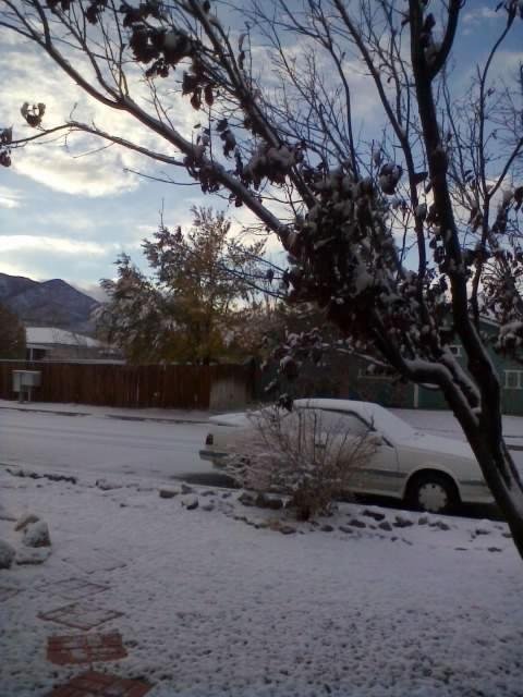 William Arthur Cook's album, Our First snow 11/21/2010 Not much More Later ?