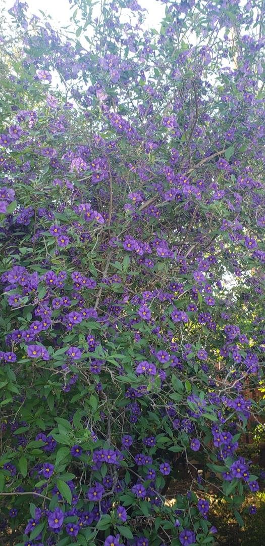 Lawrence Rinke's album, Timeline photos