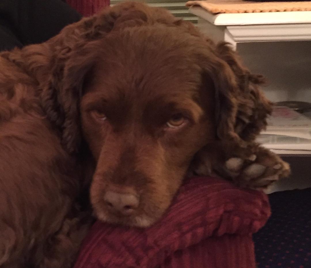 Karl here: This is my sexy look.