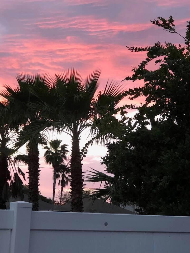 Beautiful sunset in Land O Lakes, FL