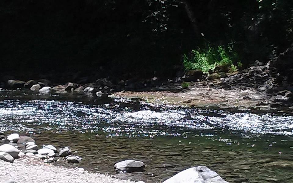 Here. Now. Perfect. Wildwood on Salmon River.