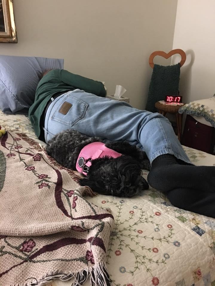 Lezlie Sherman's album, Mobile Uploads