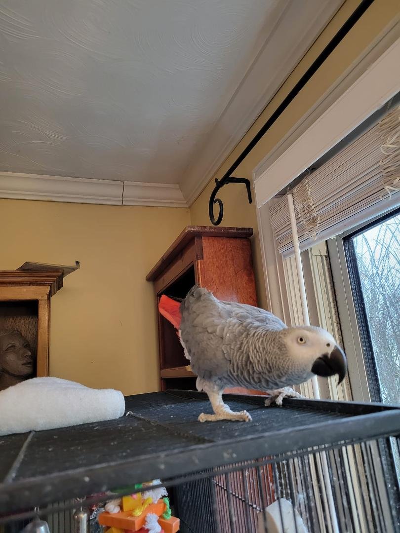 Keeping an eye on all of us...