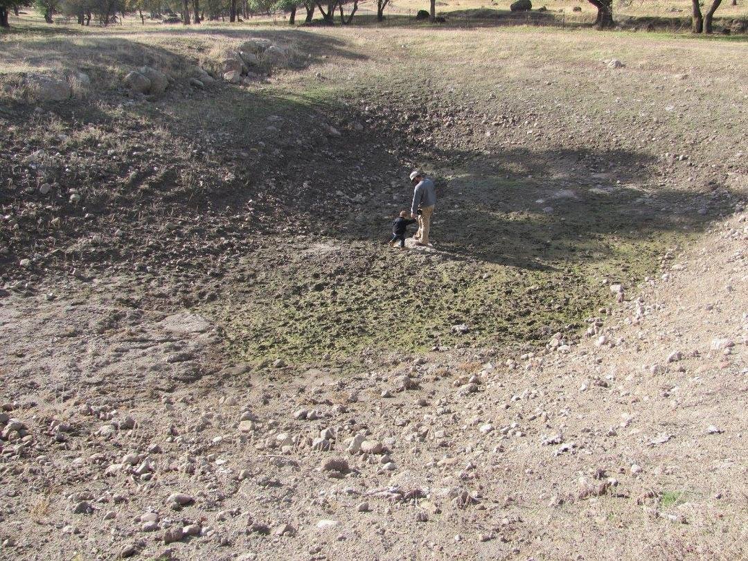 Dry Pond, no water :(