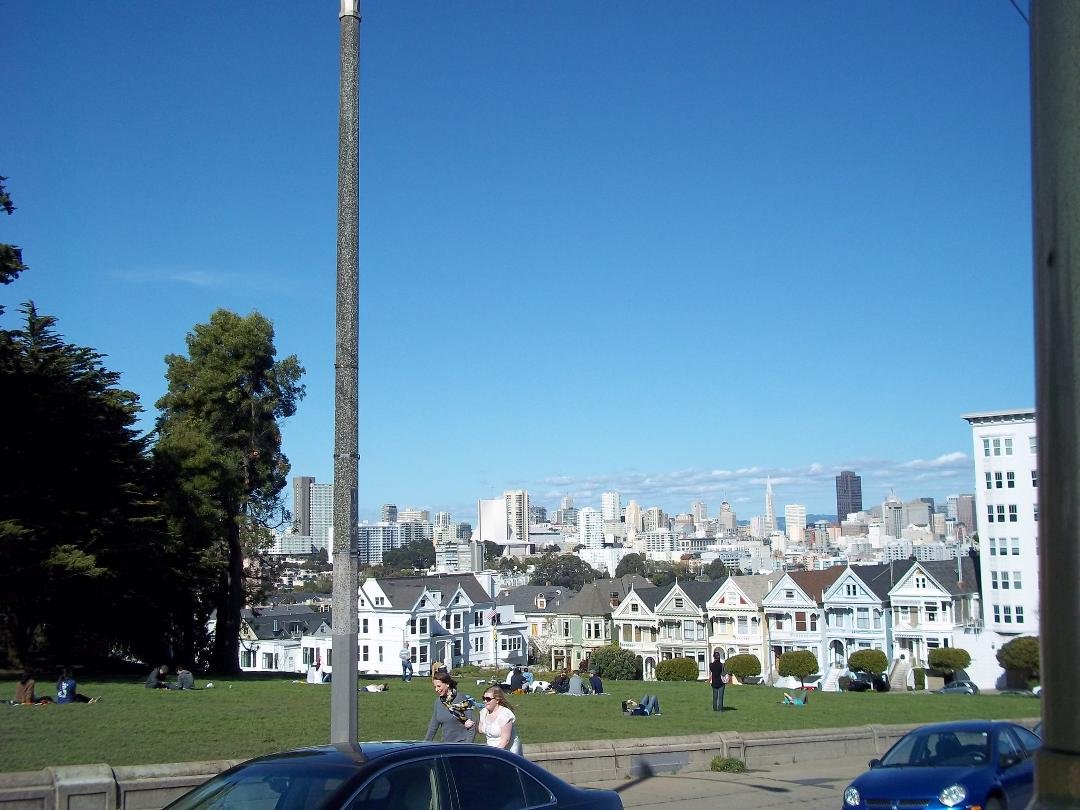 Was told to find 7 painted ladies- never knew I was looking for houses