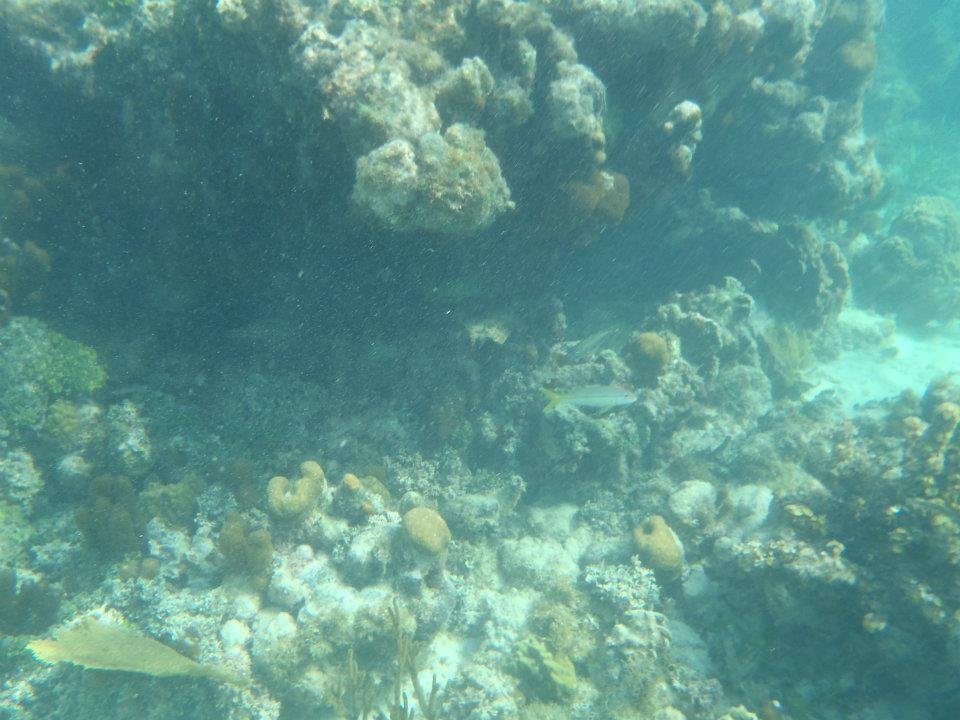 John Derbin's album, Cayman 2012