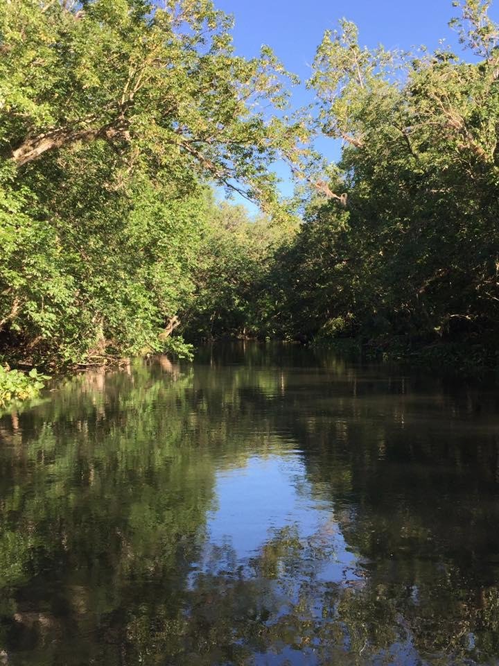 This is what we did yesterday. On the S. end of Ocklawaha river on the airboat. So relaxing.