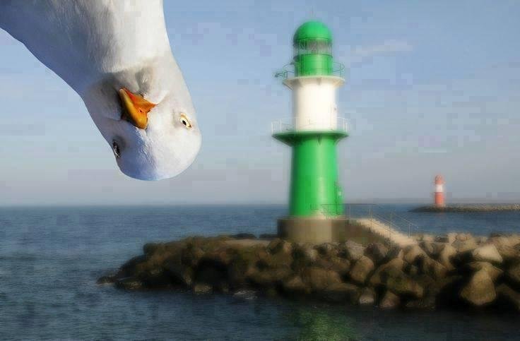 Someone is photo bombing this picture.