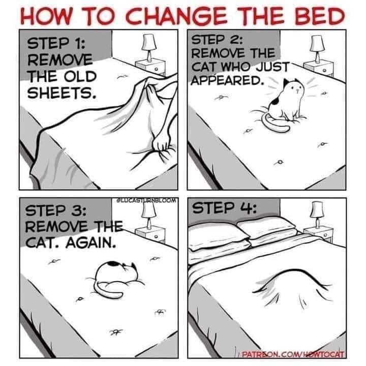 Love this