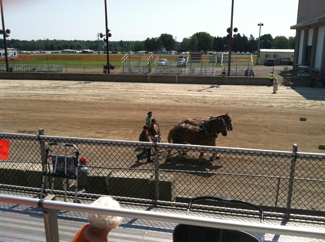 Draft horse pulls