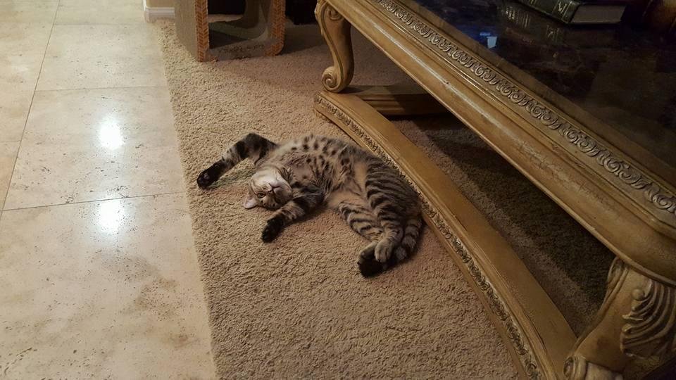 Leo McFly, has a tough time relaxing : )