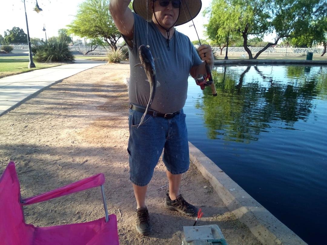 Bill's catfish.