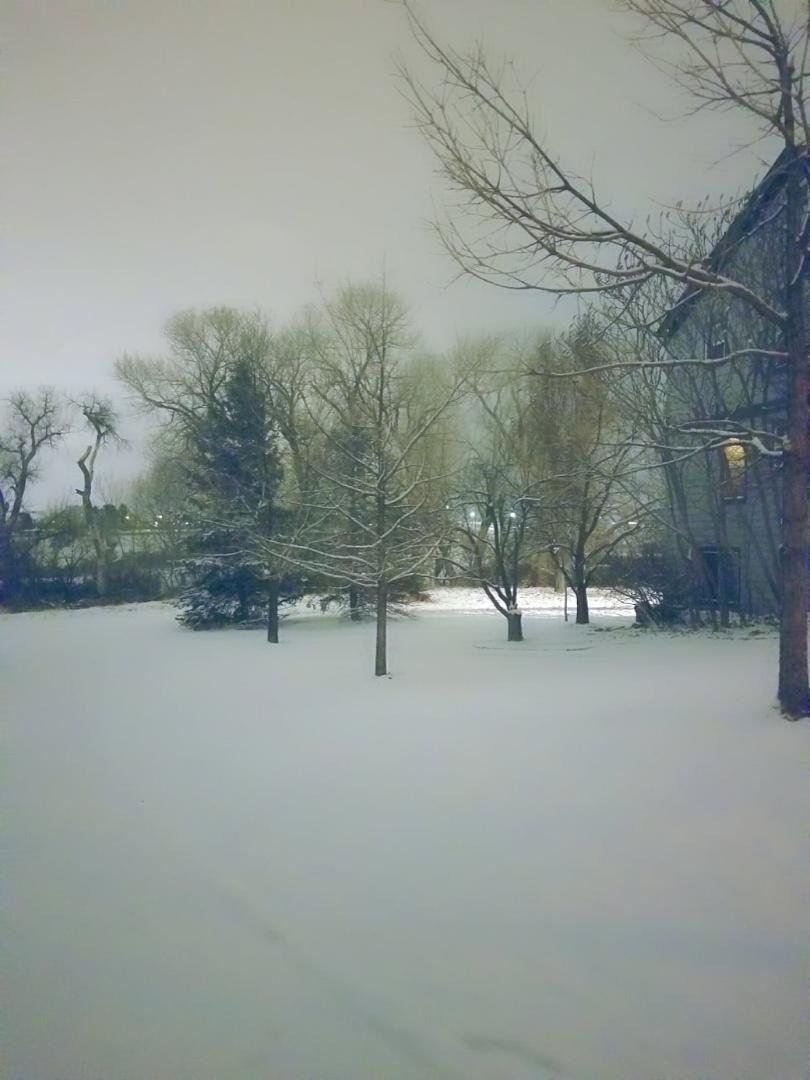 Day 2. Night is peaceful after a snow storm. It's so quiet outside as the snow muffles the normal night sounds.