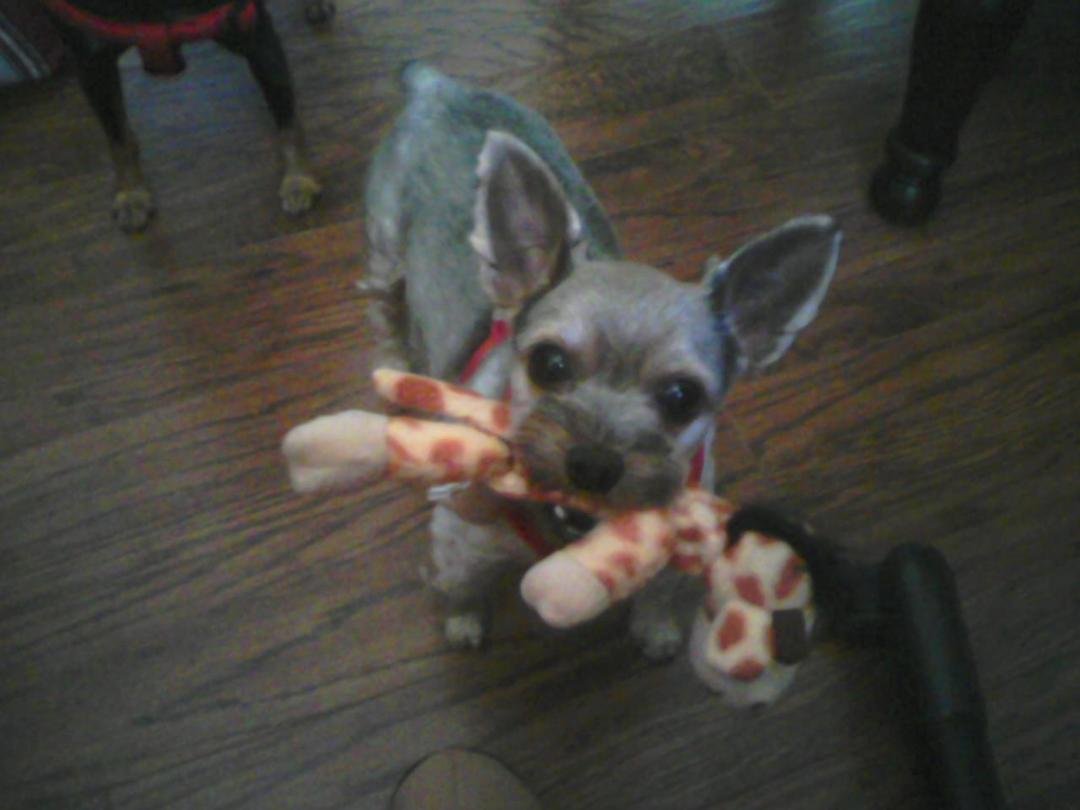Tie and his baby
Tie and his baby