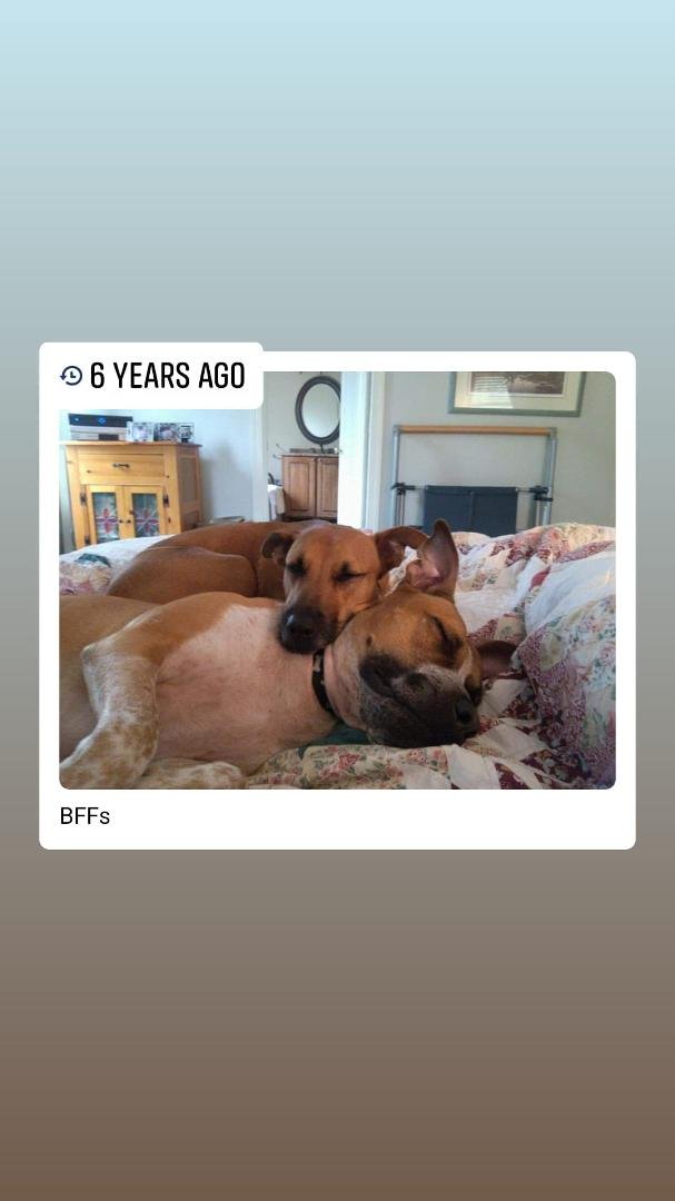 Sharon Murphy's album, Mobile Uploads
