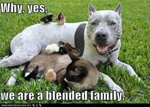 Kathleen, thought of you and your family when i saw this picture.