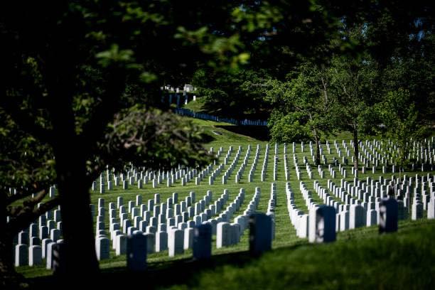 As we approach this Memorial Day, I think it important to understand that this day is in remembrance of those who gave their lives for you, I, and scores of other Countries and people, for FREEDOM!
The attached photo does