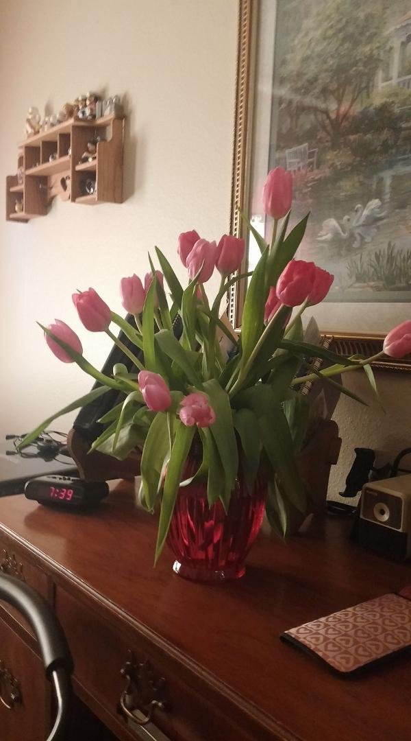 Tiptoe the tulips are sleeping!