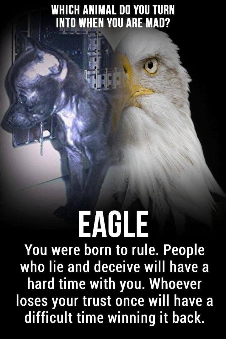 Ellen Ricker's album, Timeline Photos